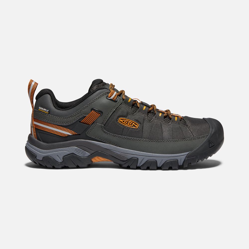 Keen Outdoor Ayakkabı Erkek Siyah/Altın - Targhee Exp Waterproof - Türkiye ZOLB46195